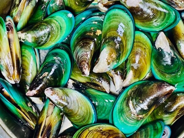 കല്ലുമ്മക്കായ 1Kg