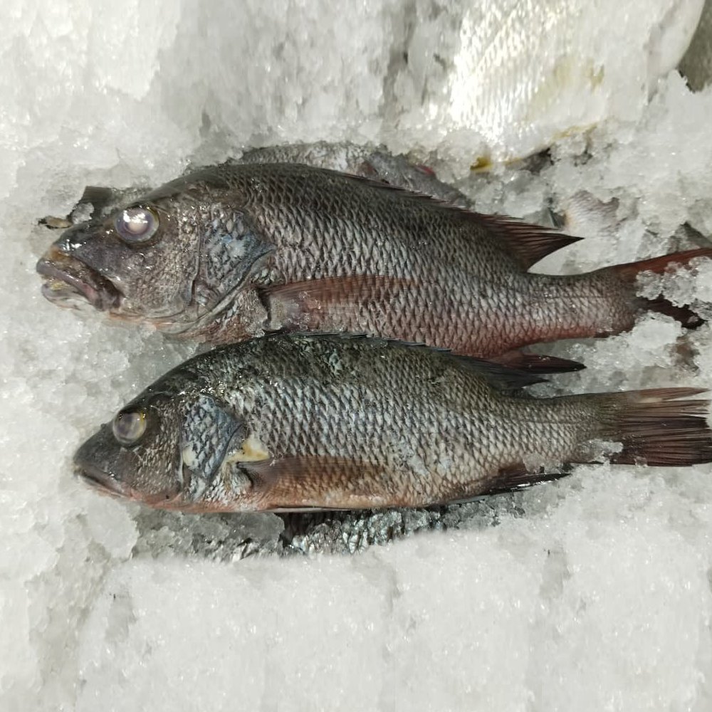 CHEMBALLI (ചെമ്പല്ലി) 1 Kg