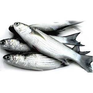 തിരുത 1 Kg